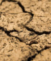 Weather cycles wreaking havoc in South Africa Drought 200x240