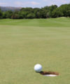 Almost, very nearly, but not quite missed-shot-200x240