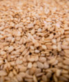 Profit-making idea: Sesame production a growth industry sesame-seeds-200x240