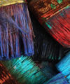 South African paint company bullish about east African market 200x240 2