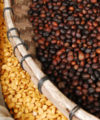 Uganda needs a caffeine fix: Insights from Vietnam’s coffee market success beverages-coffee-ethiopia-200x240