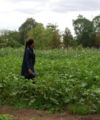 In Tanzania, unemployed youths turn to agriculture Deborah - 200x240