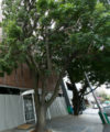 14 Kloof Street for sale by tender 14 Kloof - Cape Town 200x240