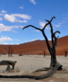 Namibia is a winning tourist attraction, but could tap deeper into visitors’ wallets Deadvlei 200x240