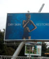 Marketing to sub-Saharan Africa’s middle class: 13 ground rules Unilever-billboard-200x240