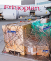 Ethiopian Airlines signs up for Sabre passenger reservations technology solution humanitarian shipment ethiopian airlines 200x240