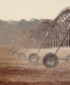 African farmers should take advantage of Fourth Industrial Revolution technologies QG agriculture irrigation 200x240