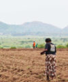 Start-up snapshot: Invest in Nigerian agriculture from anywhere in the world farmcrowdy agrilculture farm 200x240