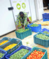 Rotten tomatoes: Nigerian entrepreneur offers solution to age-old farming problem Cold hubs 3 200x240