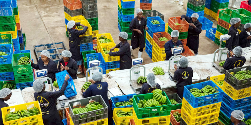 Twiga helps connect farmers and vendors to create a more efficient marketplace.
