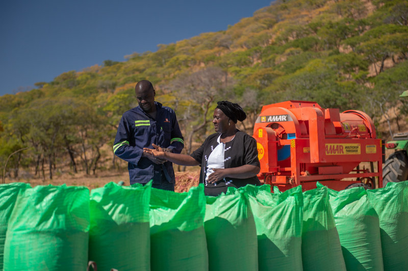 Employees at Amatheon Agri's operations in Zambia.