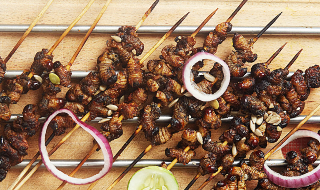 Ghana Revolutionising protein supply with edible insects