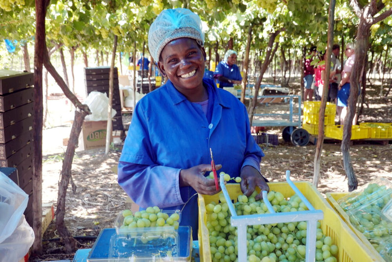 SilverStreet Capital has invested in table grape farming in Namibia